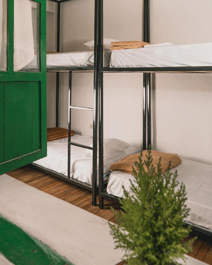 Wild Monkey Hostel 쿠엔카 객실 사진
